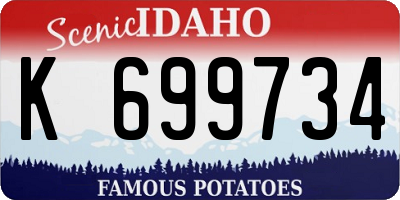 ID license plate K699734