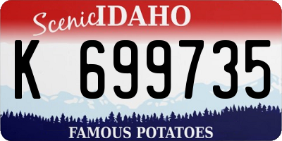 ID license plate K699735