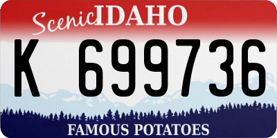 ID license plate K699736