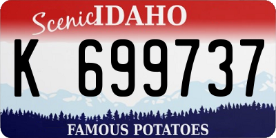 ID license plate K699737