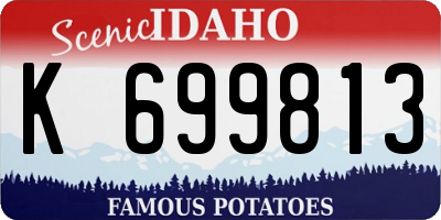 ID license plate K699813