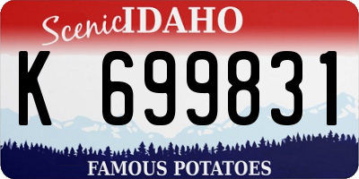ID license plate K699831