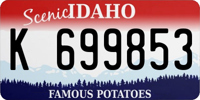 ID license plate K699853