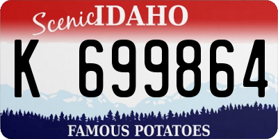 ID license plate K699864