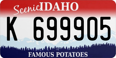 ID license plate K699905