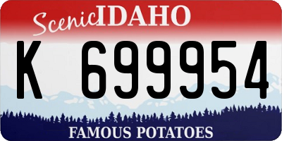 ID license plate K699954