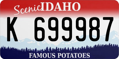ID license plate K699987