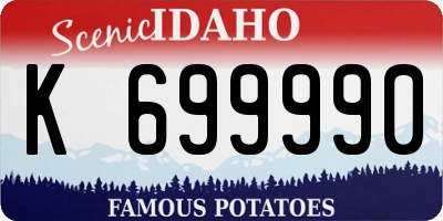 ID license plate K699990