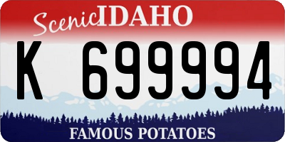 ID license plate K699994