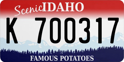 ID license plate K700317