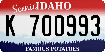 ID license plate K700993