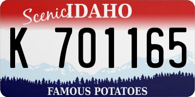 ID license plate K701165