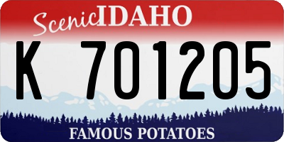 ID license plate K701205