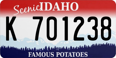 ID license plate K701238