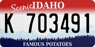 ID license plate K703491