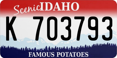 ID license plate K703793