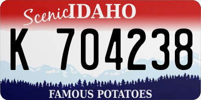 ID license plate K704238
