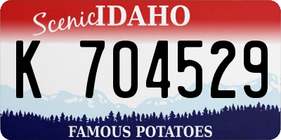 ID license plate K704529