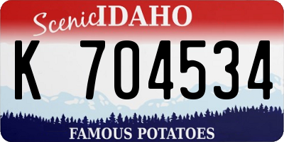 ID license plate K704534