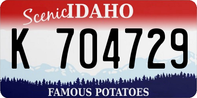 ID license plate K704729