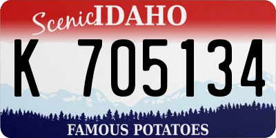 ID license plate K705134