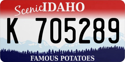 ID license plate K705289