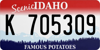 ID license plate K705309