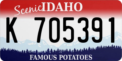 ID license plate K705391