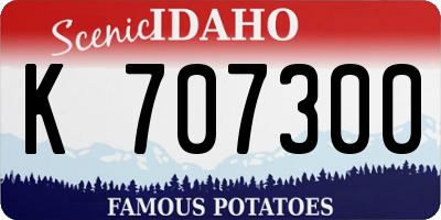 ID license plate K707300