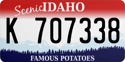 ID license plate K707338