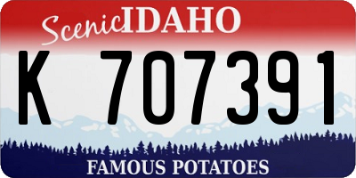 ID license plate K707391