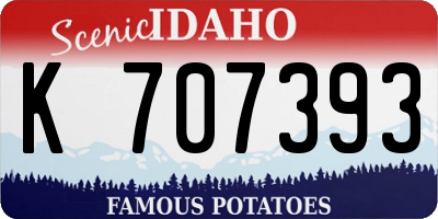 ID license plate K707393