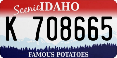 ID license plate K708665