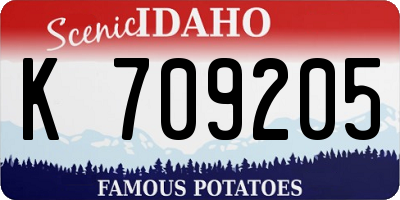 ID license plate K709205