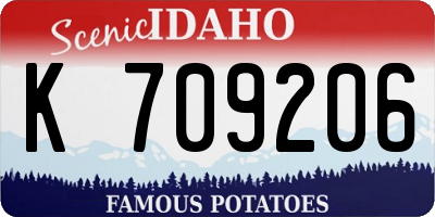 ID license plate K709206