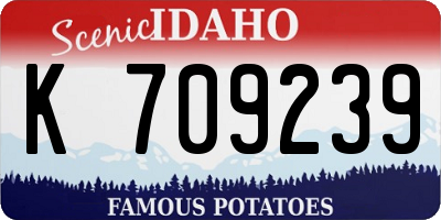 ID license plate K709239