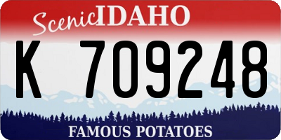 ID license plate K709248