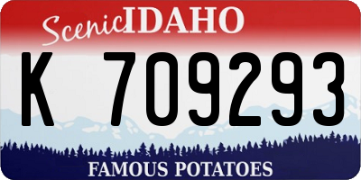 ID license plate K709293