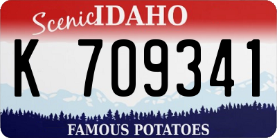 ID license plate K709341