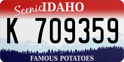 ID license plate K709359