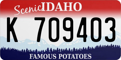ID license plate K709403