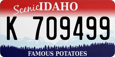 ID license plate K709499