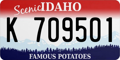 ID license plate K709501