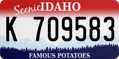 ID license plate K709583