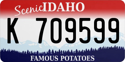 ID license plate K709599