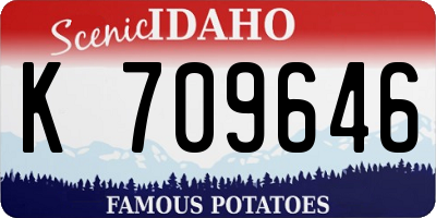 ID license plate K709646