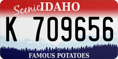ID license plate K709656