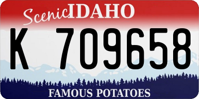 ID license plate K709658