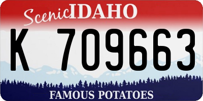 ID license plate K709663