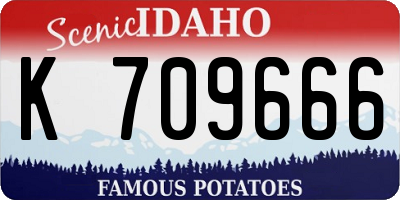 ID license plate K709666